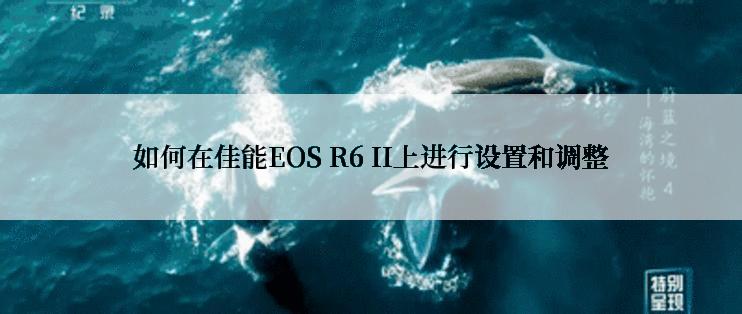 如何在佳能EOS R6 II上进行设置和调整