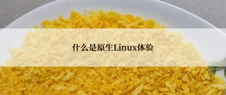 什么是原生Linux体验