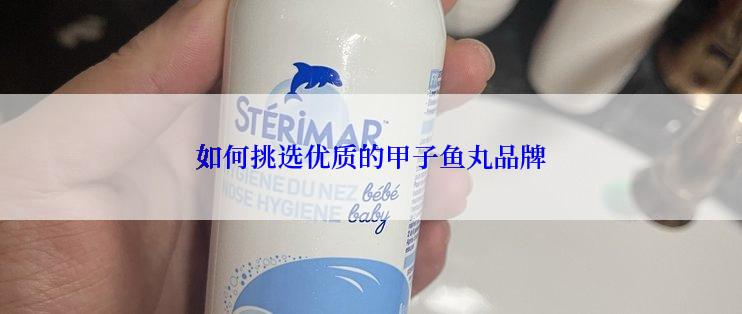 如何挑选优质的甲子鱼丸品牌