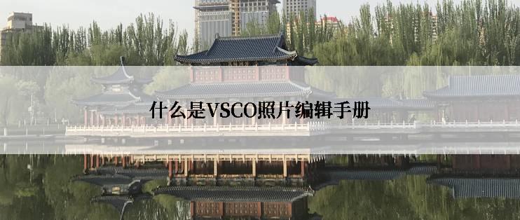 什么是VSCO照片编辑手册