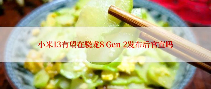 小米13有望在骁龙8 Gen 2发布后官宣吗