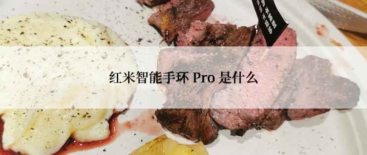 红米智能手环 Pro 是什么