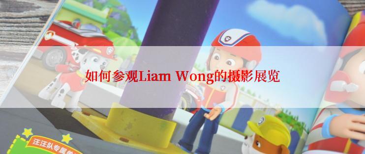 如何参观Liam Wong的摄影展览