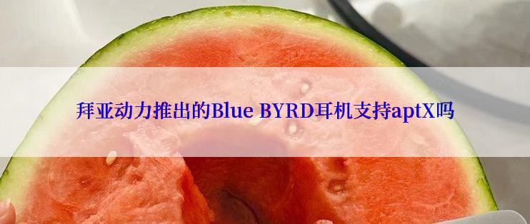 拜亚动力推出的Blue BYRD耳机支持aptX吗