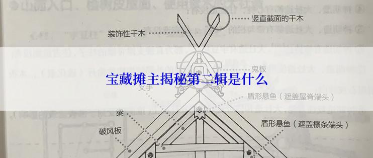 宝藏摊主揭秘第二辑是什么