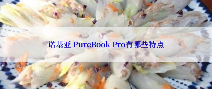 诺基亚 PureBook Pro有哪些特点