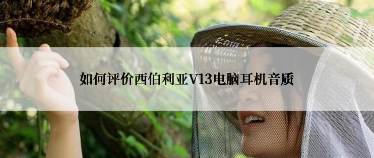 如何评价西伯利亚V13电脑耳机音质