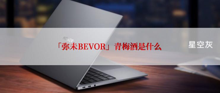 「弥未BEVOR」青梅酒是什么