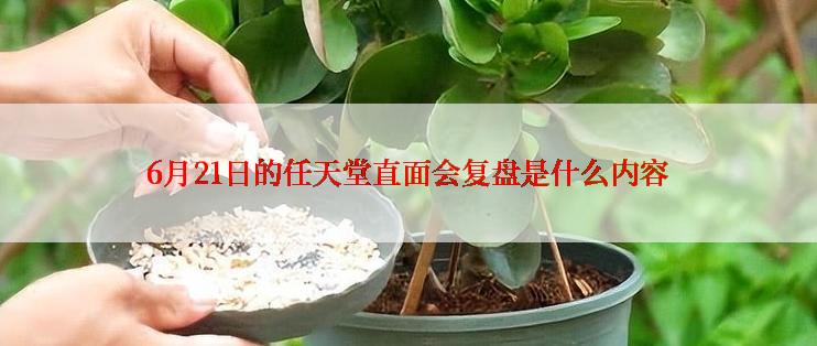 6月21日的任天堂直面会复盘是什么内容