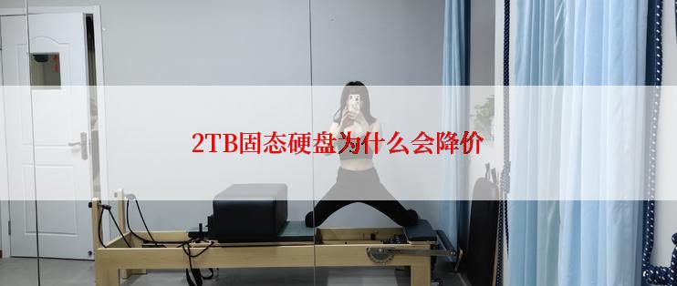 2TB固态硬盘为什么会降价