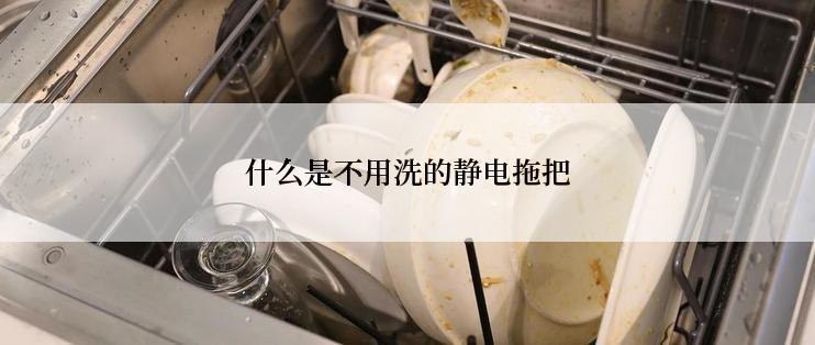 什么是不用洗的静电拖把