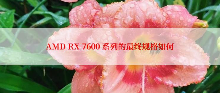 AMD RX 7600 系列的最终规格如何