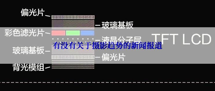 有没有关于摄影趋势的新闻报道