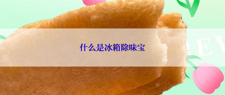 什么是冰箱除味宝