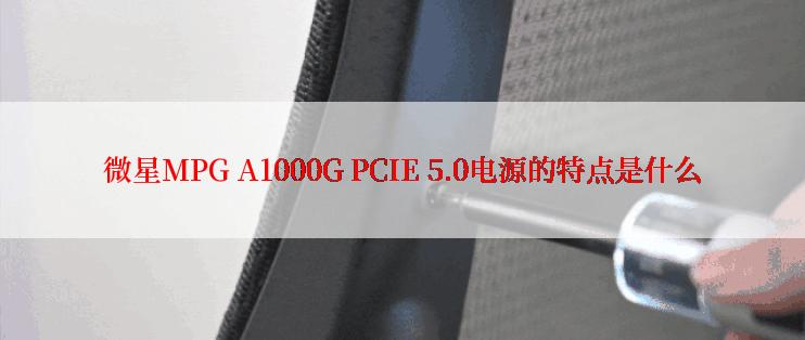 微星MPG A1000G PCIE 5.0电源的特点是什么