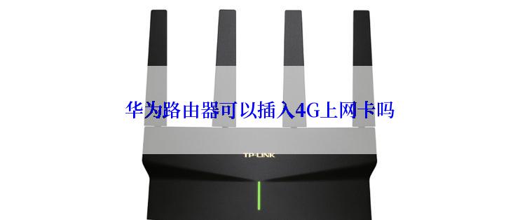 华为路由器可以插入4G上网卡吗