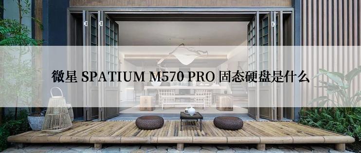 微星 SPATIUM M570 PRO 固态硬盘是什么