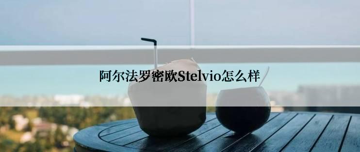 阿尔法罗密欧Stelvio怎么样