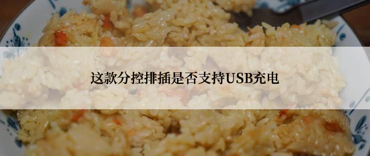 这款分控排插是否支持USB充电