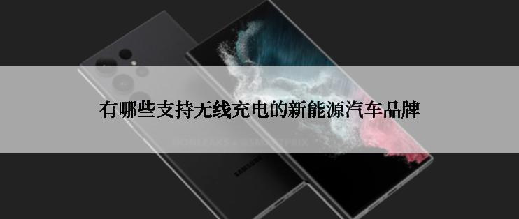 有哪些支持无线充电的新能源汽车品牌