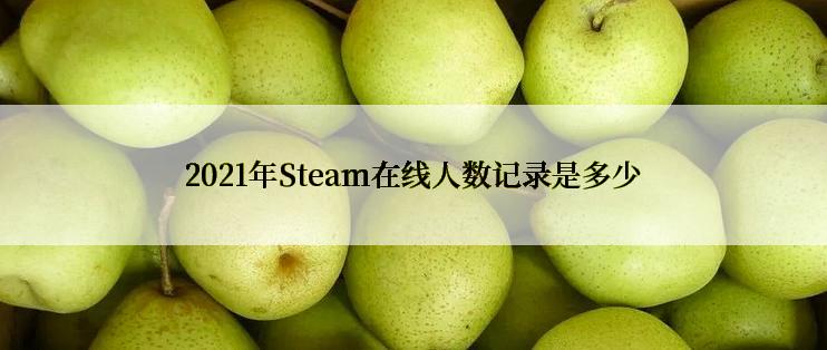 2021年Steam在线人数记录是多少