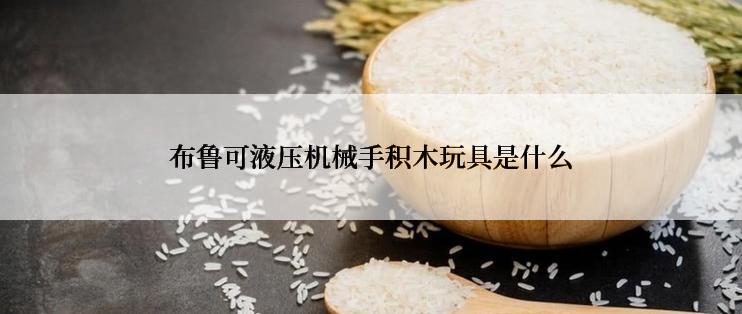 布鲁可液压机械手积木玩具是什么