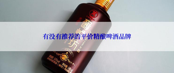 有没有推荐的平价精酿啤酒品牌