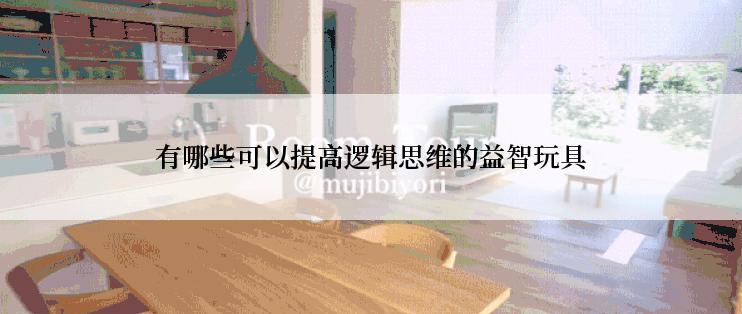 有哪些可以提高逻辑思维的益智玩具