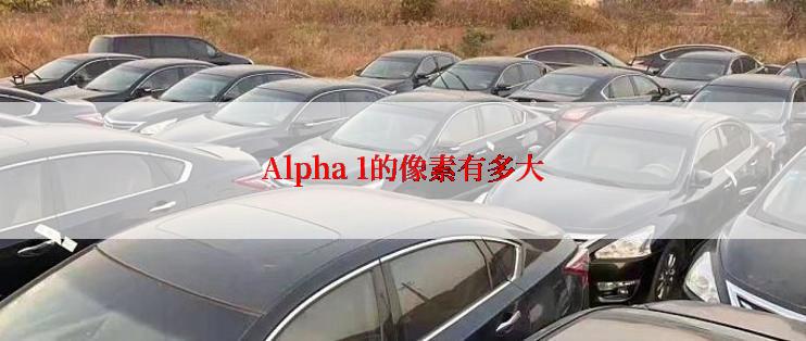 Alpha 1的像素有多大