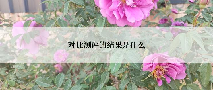 对比测评的结果是什么