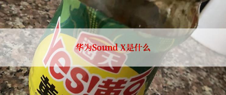 华为Sound X是什么