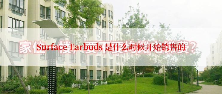 Surface Earbuds 是什么时候开始销售的