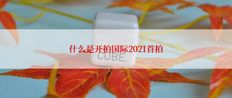 什么是开拍国际2021首拍