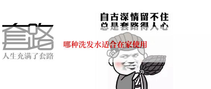 哪种洗发水适合在家使用