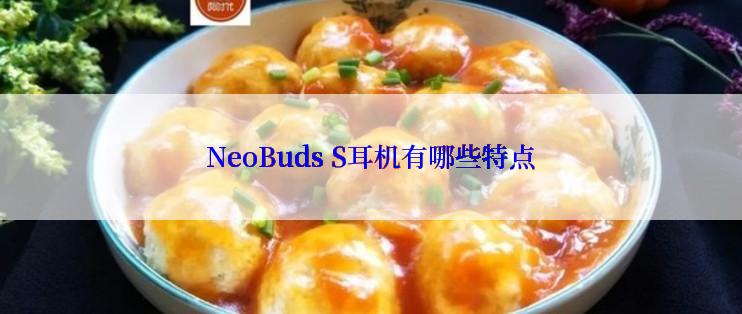 NeoBuds S耳机有哪些特点