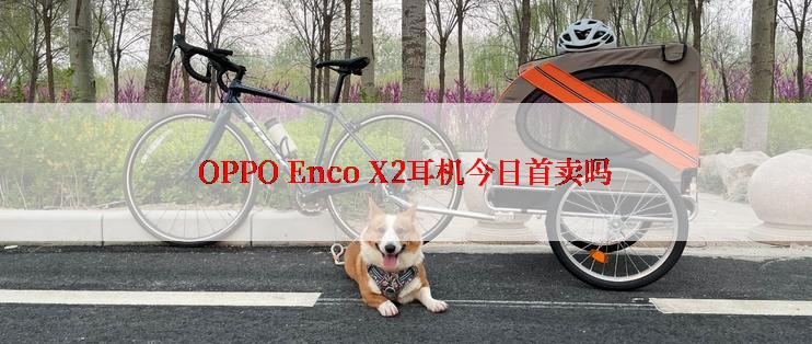 OPPO Enco X2耳机今日首卖吗