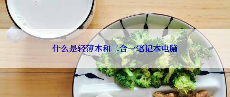 什么是轻薄本和二合一笔记本电脑