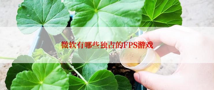 微软有哪些独占的FPS游戏