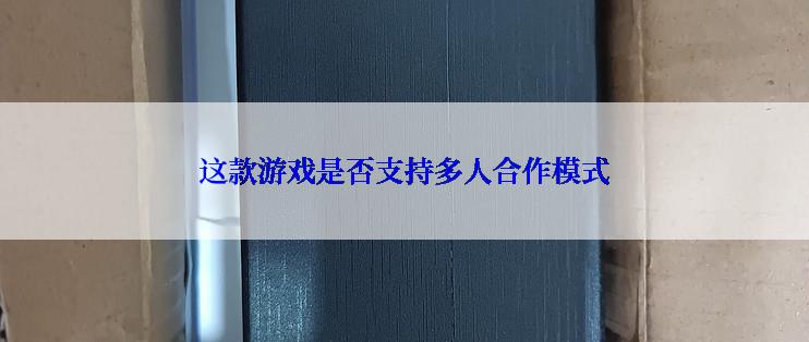 这款游戏是否支持多人合作模式