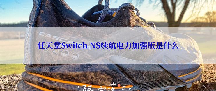 任天堂Switch NS续航电力加强版是什么