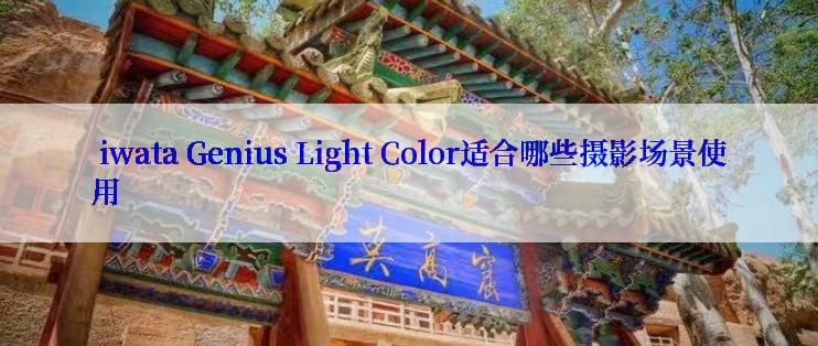  iwata Genius Light Color适合哪些摄影场景使用