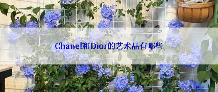 Chanel和Dior的艺术品有哪些