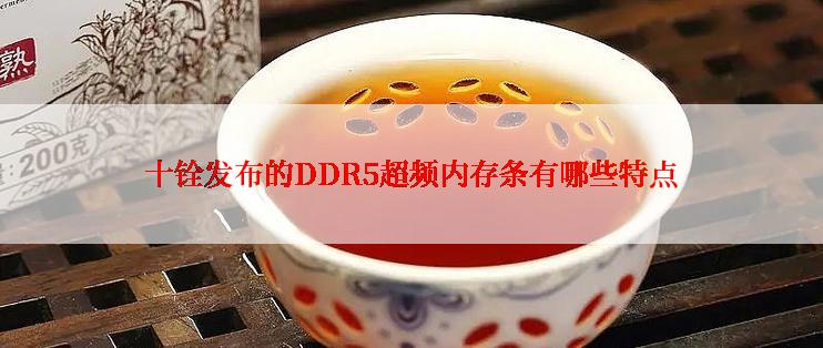 十铨发布的DDR5超频内存条有哪些特点