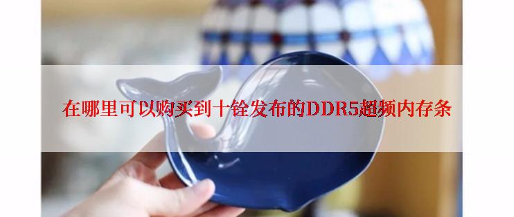 在哪里可以购买到十铨发布的DDR5超频内存条