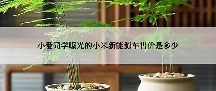 小爱同学曝光的小米新能源车售价是多少