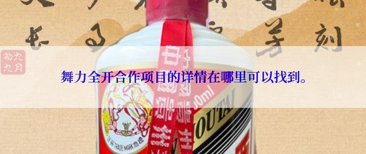 舞力全开合作项目的详情在哪里可以找到。