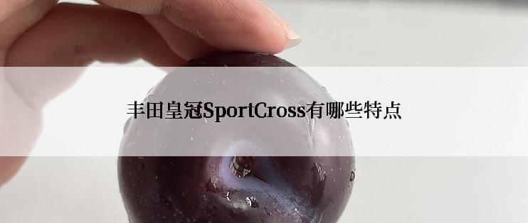 丰田皇冠SportCross有哪些特点