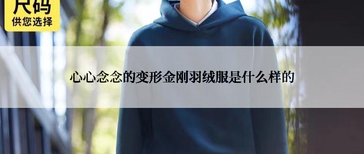 心心念念的变形金刚羽绒服是什么样的