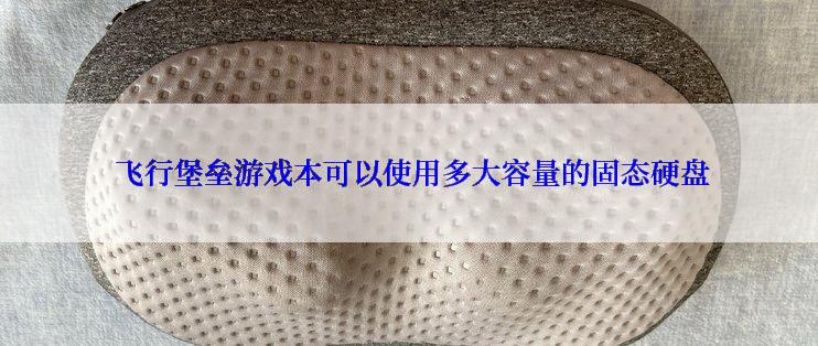  飞行堡垒游戏本可以使用多大容量的固态硬盘