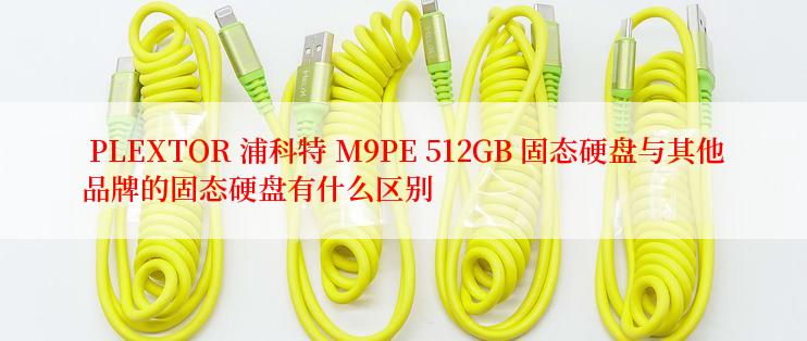  PLEXTOR 浦科特 M9PE 512GB 固态硬盘与其他品牌的固态硬盘有什么区别